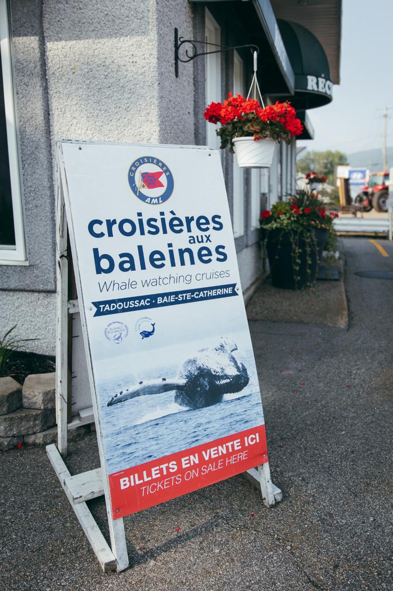 Motel Des Cascades Baie-Saint-Paul Zewnętrze zdjęcie