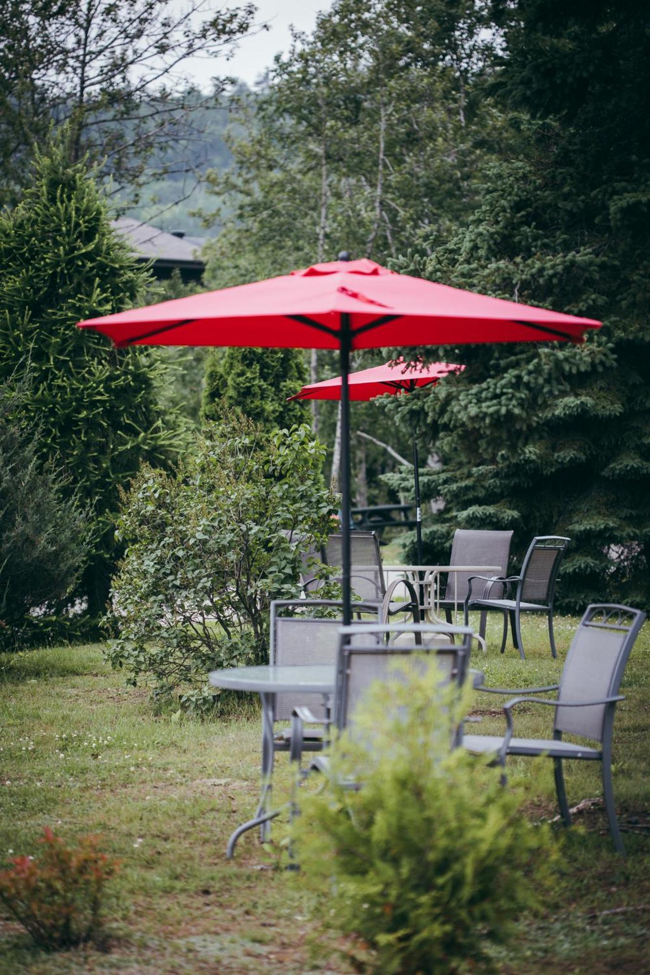 Motel Des Cascades Baie-Saint-Paul Zewnętrze zdjęcie